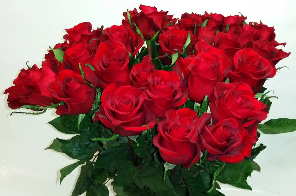 14 Februar Valentinstag Blumen Hecktor